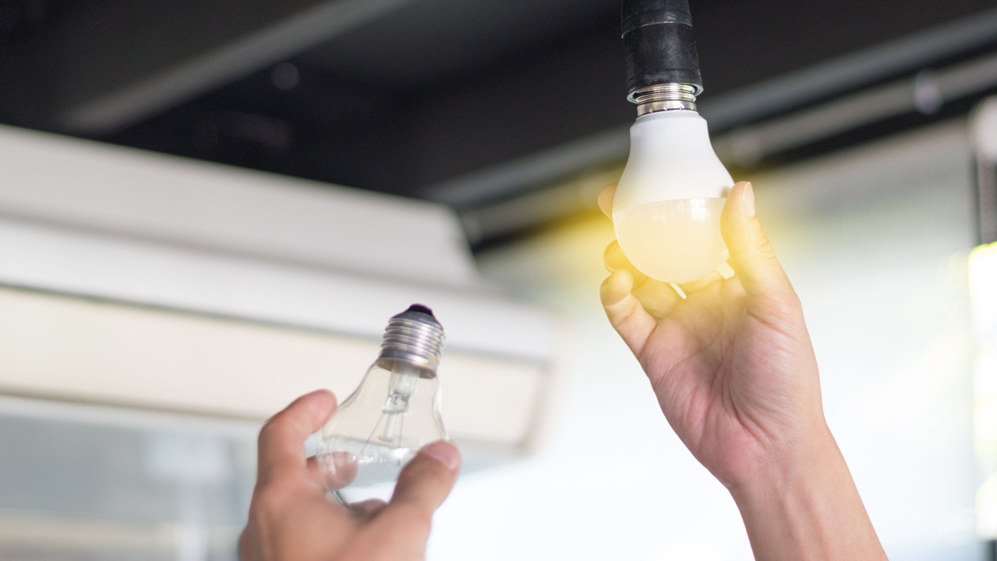 LED light bulb buying guide