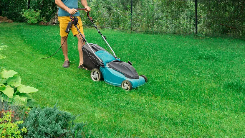 Comment entretenir la pelouse