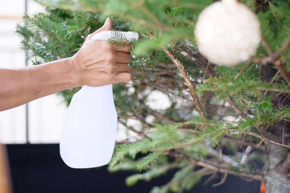 How to take care for a real Christmas tree