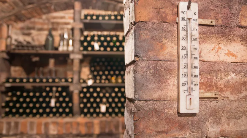 Climatiseur de cave à vin : comment choisir