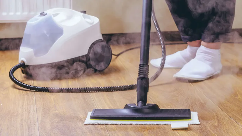 Comment choisir un nettoyeur vapeur ?