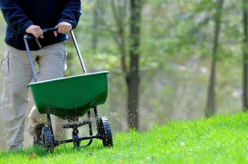 Expert lawn care tips