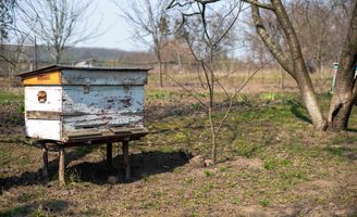 DOSATORE PER MIELE Cl.27 VETRO - CIFA Srl Forniture Alberghiere - Foto 12