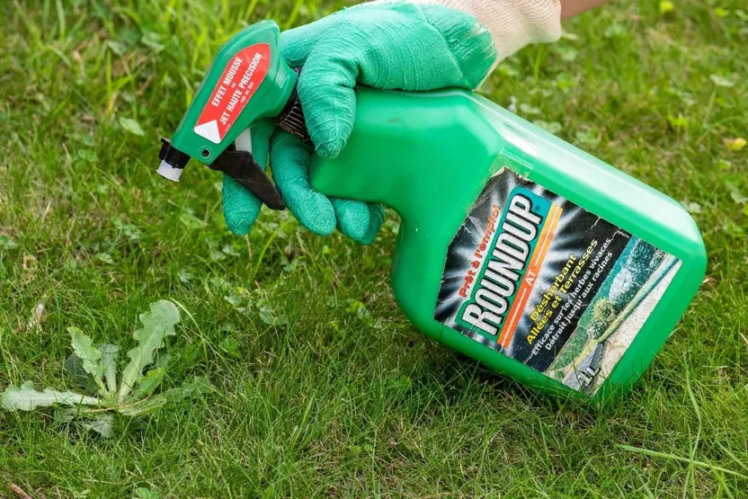 Roundup: el herbicida del glifosato