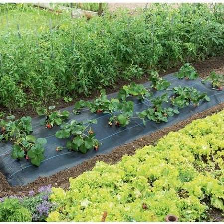 La rotazione delle colture