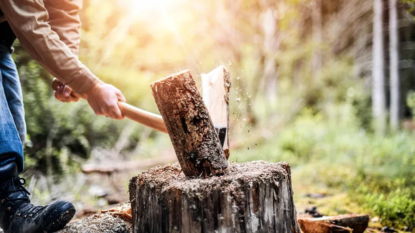 So finden Sie das richtige Handwerkzeug zum Sägen und Spalten von Holz