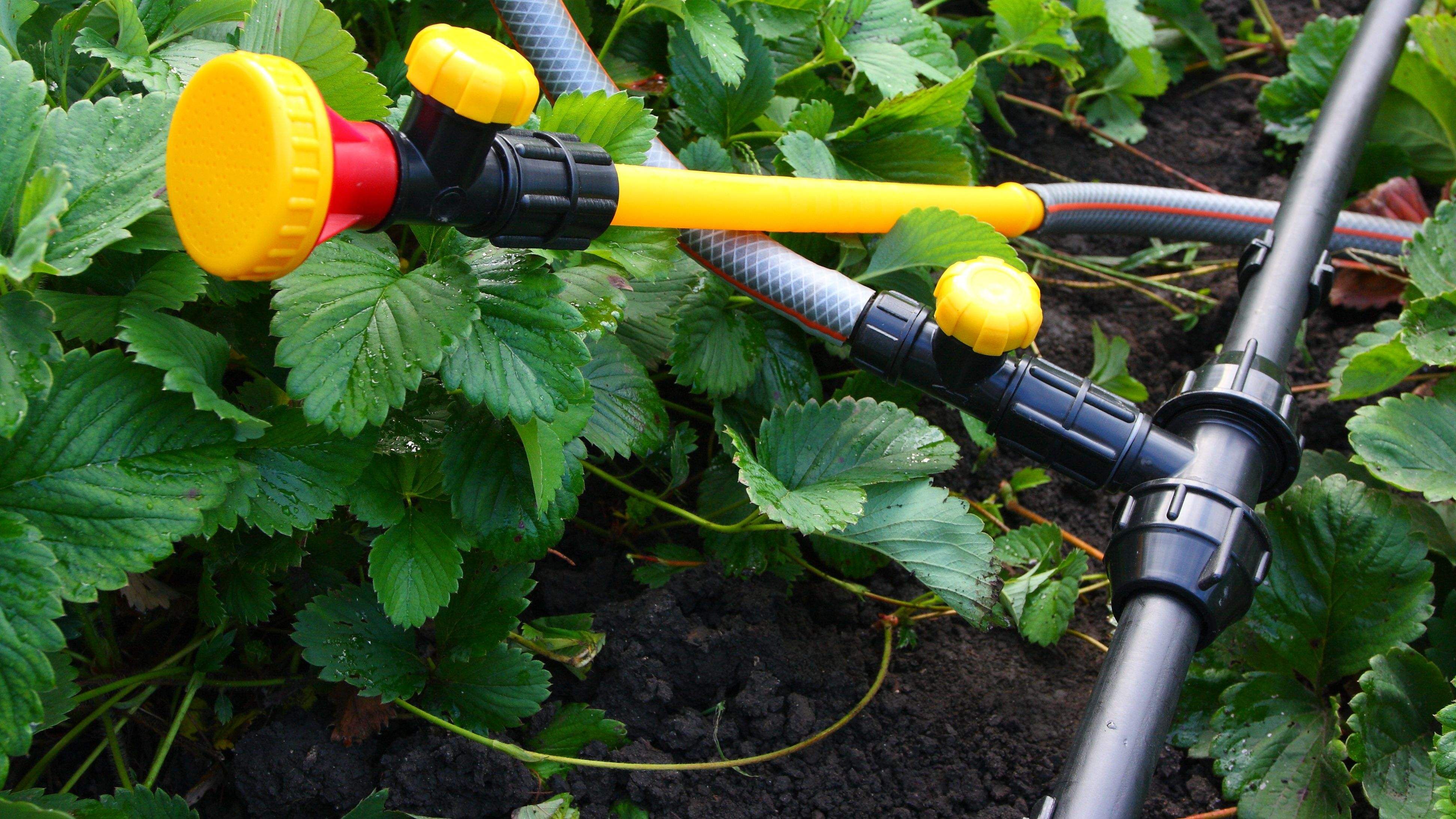 How to choose your underground irrigation?