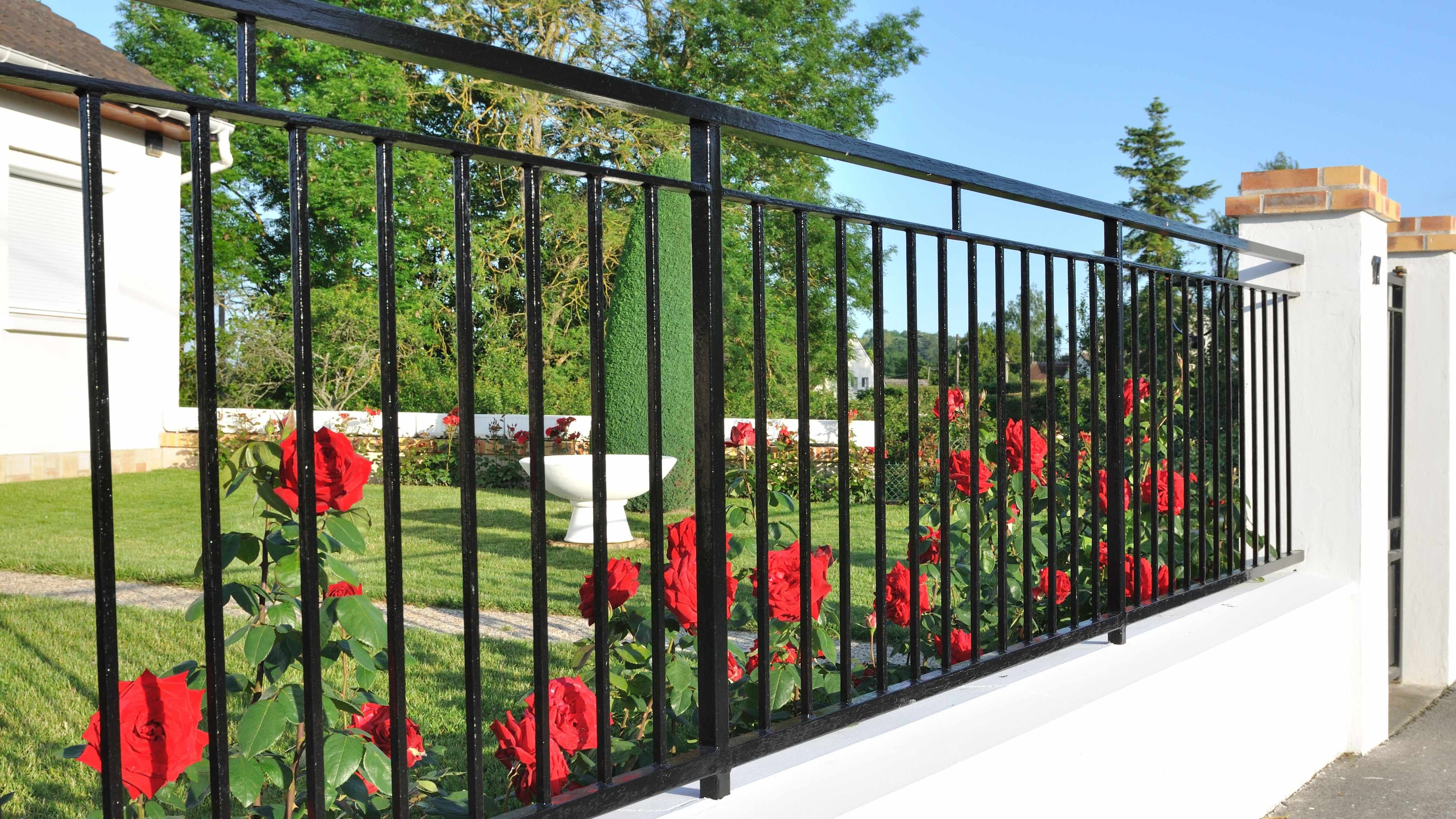 Fencing and screening buying guide