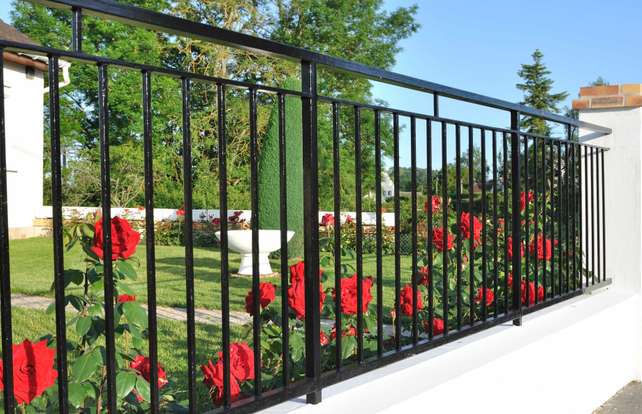 Fencing and screening buying guide