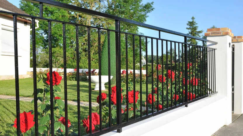 Fencing and screening buying guide