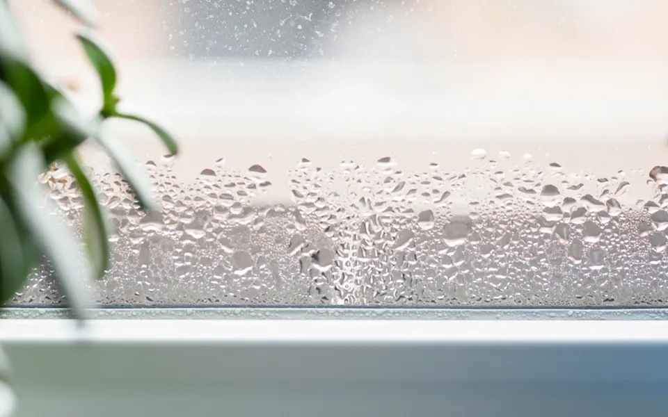 How to reduce humidity in the home