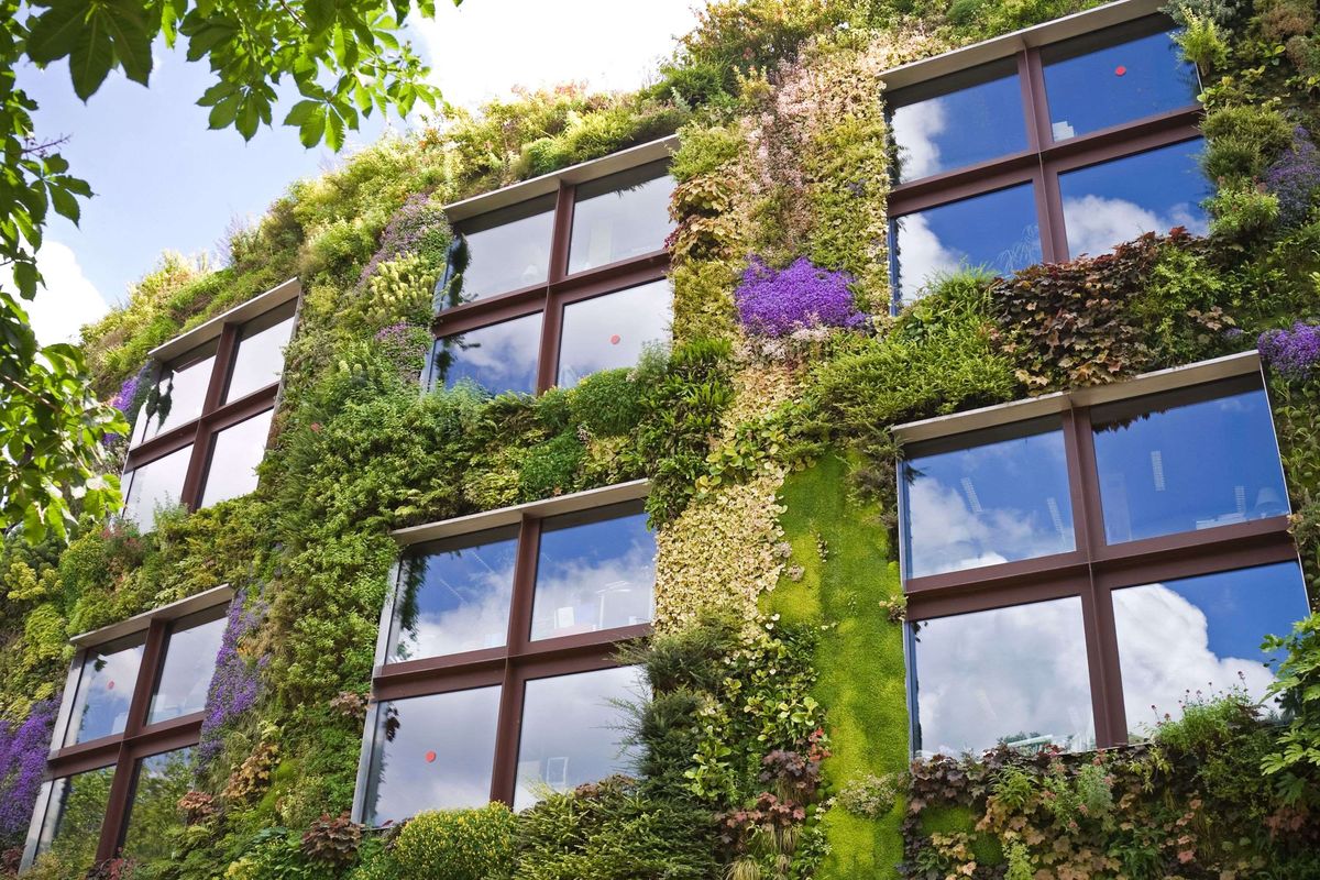 How to create a living wall