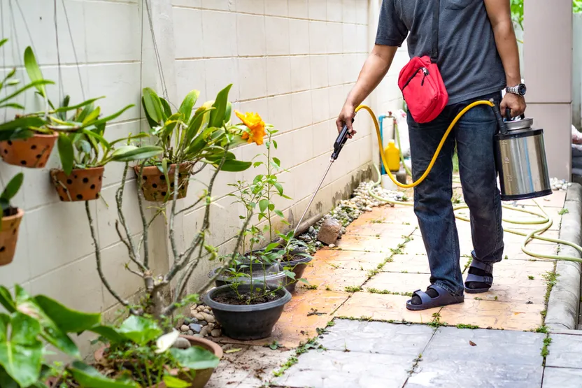 ¿Cómo elegir insecticidas específicos para hormigas?