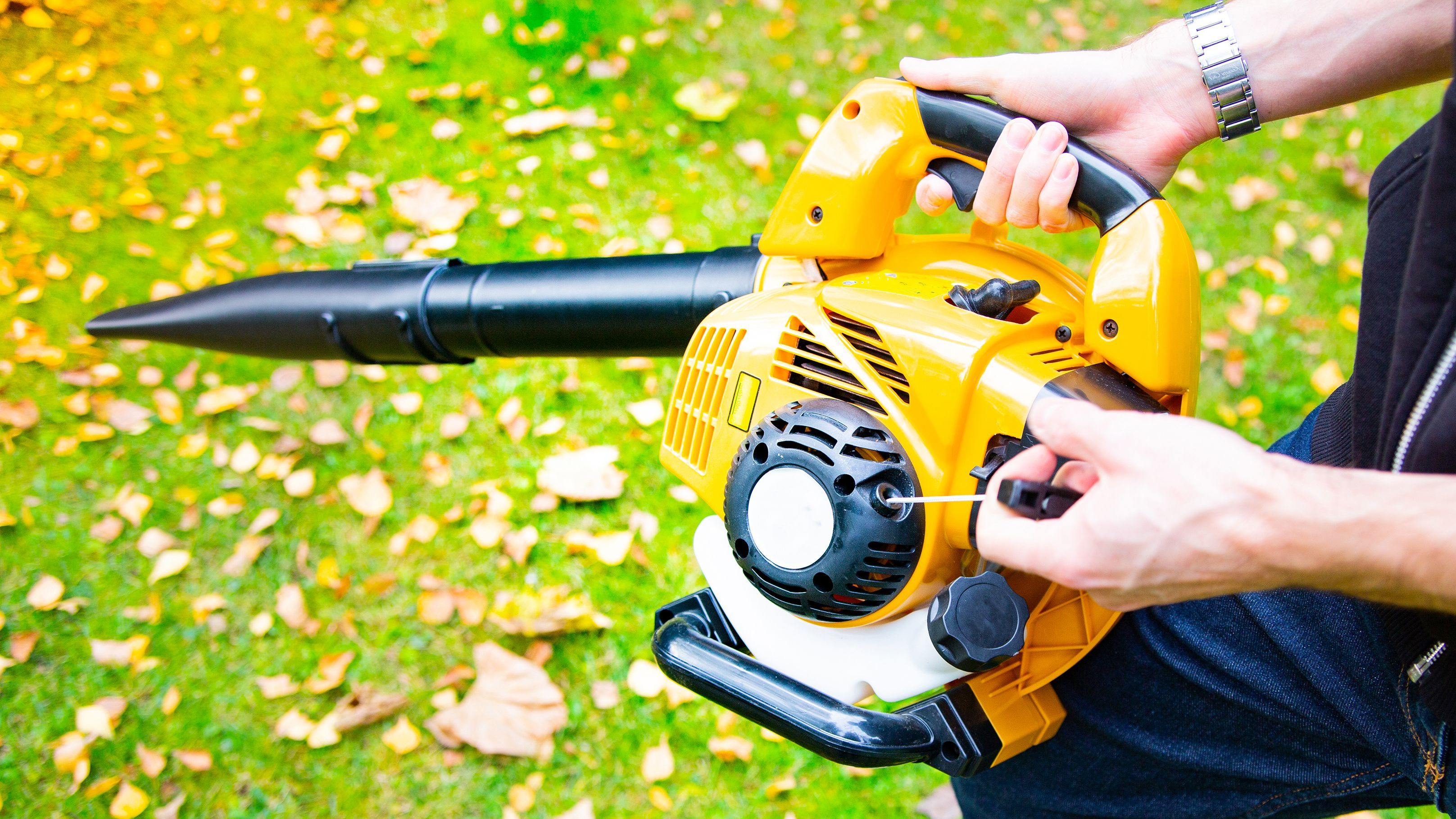 Petrol powered on sale leaf blower