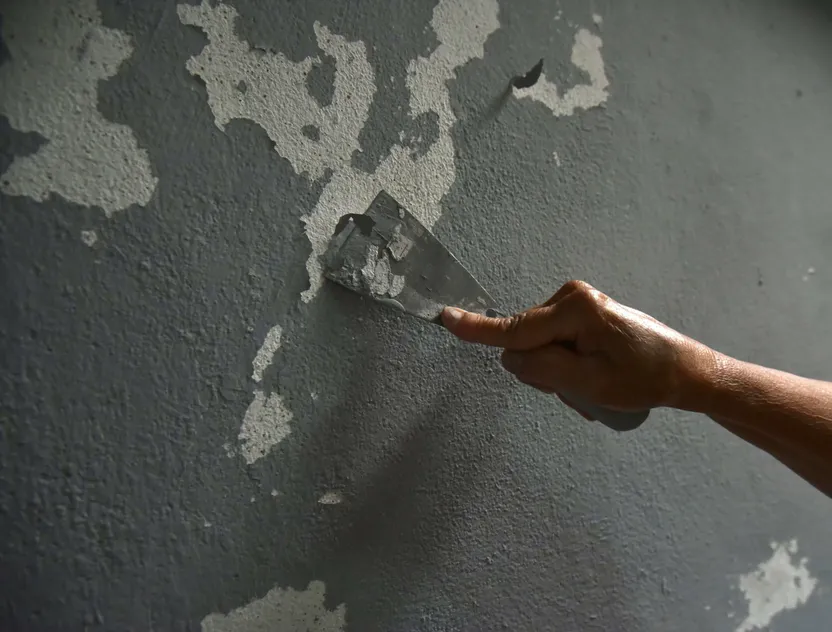 ¿Cómo reparar defectos de pintura?