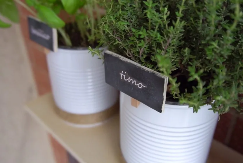 Upcycling tin cans for your very own herb garden