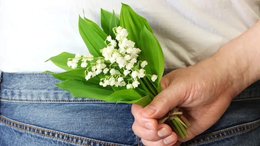 Tout le programme de mai pour la maison et le jardin