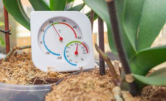 Thermomètre intérieur/extérieur sans fil