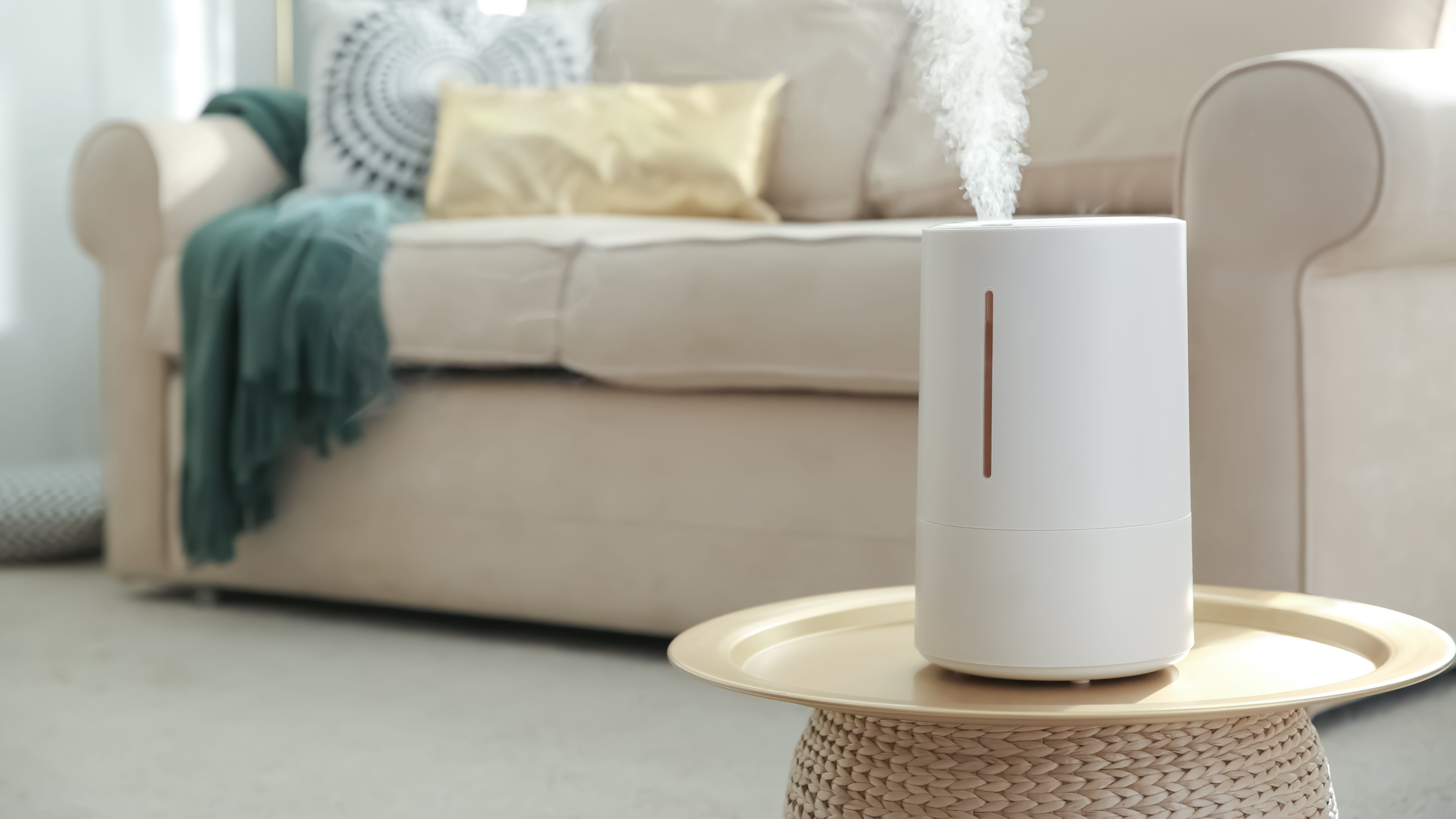 Installer un humidificateur d'air pour une maison où il fait bon vivre