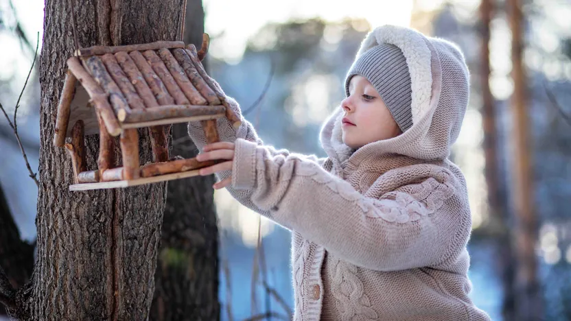 Tout le programme de janvier pour la maison et le jardin