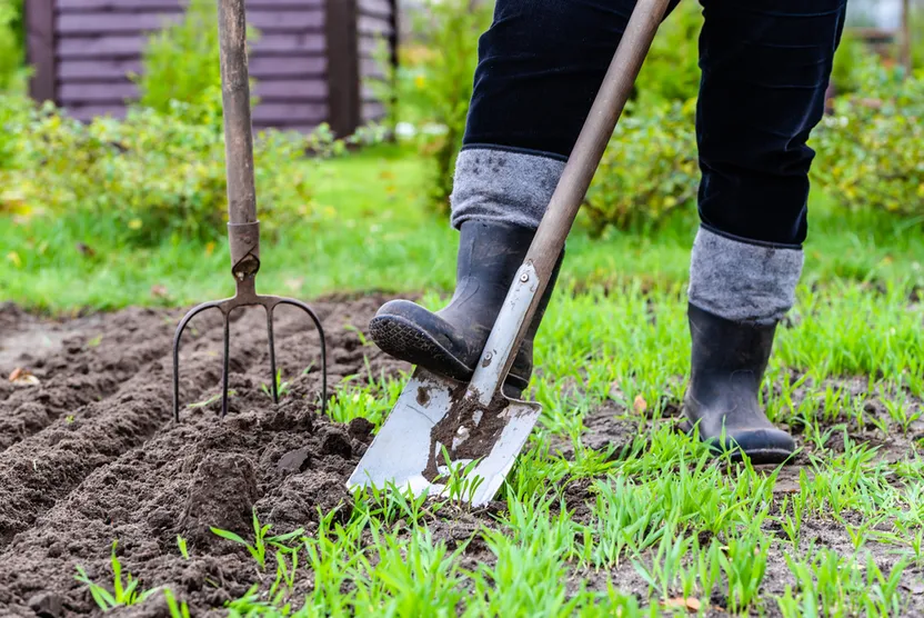 Cómo elegir las herramientas básicas para el huerto
