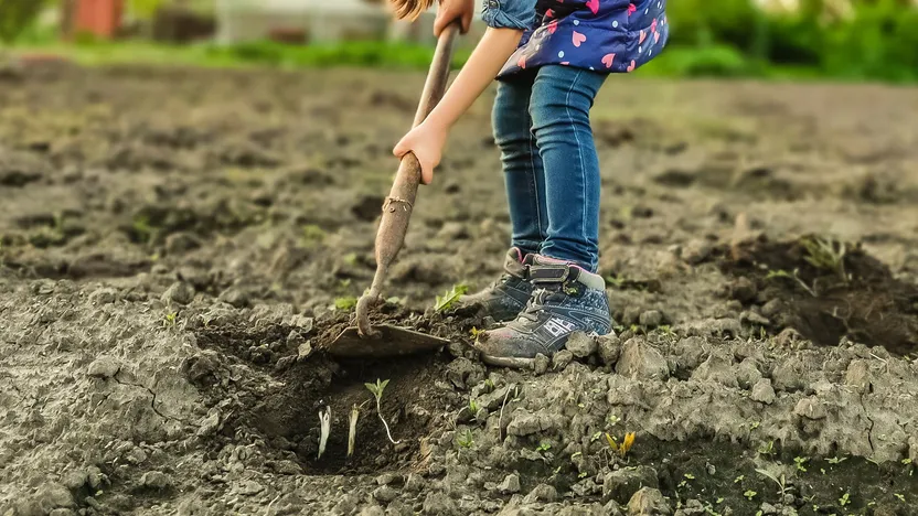 Comment préparer le sol pour un potager