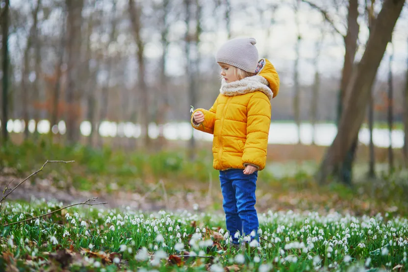 ¿Cómo cuidar el césped en invierno?