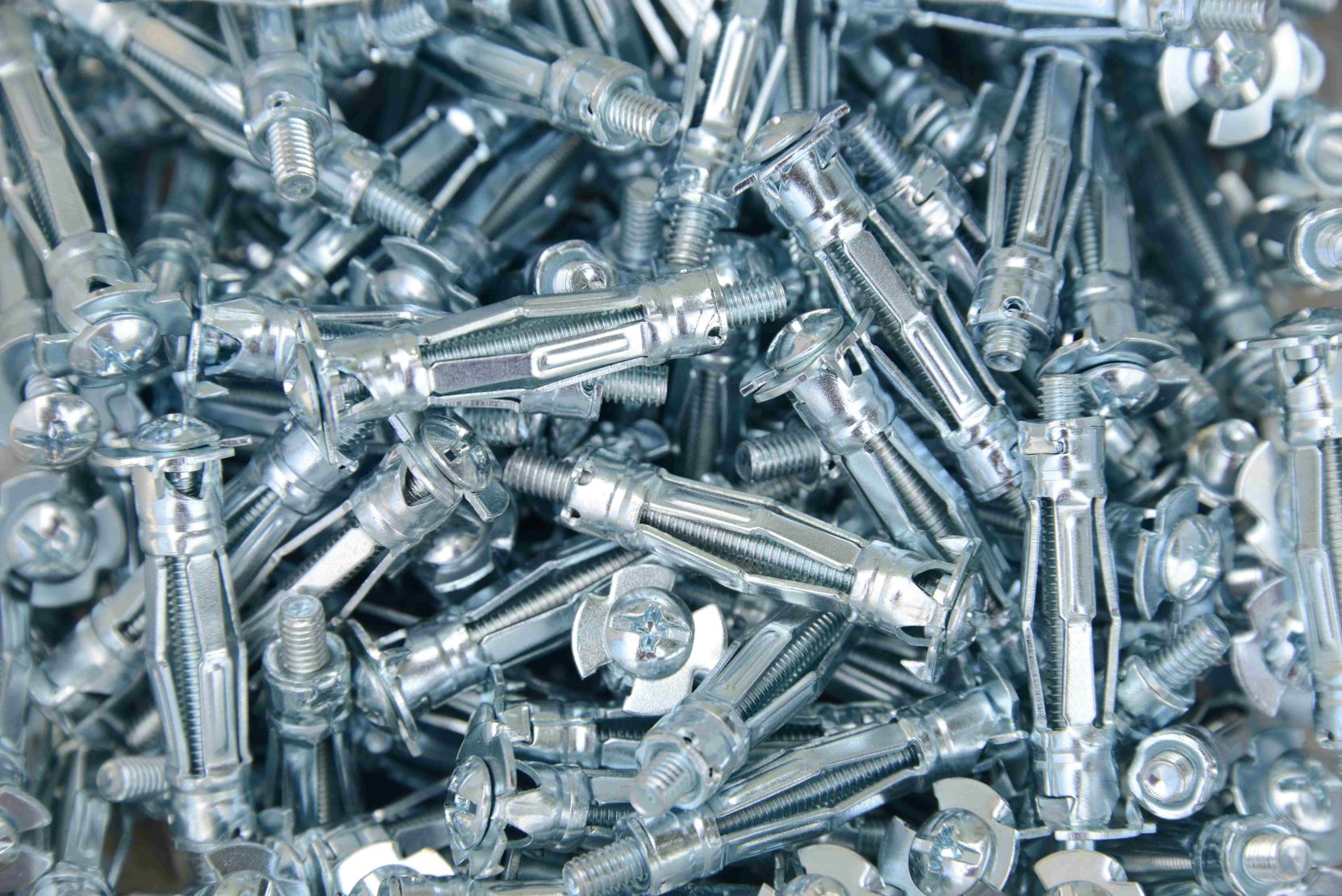 Spotlight on molly bolts