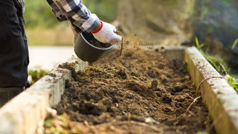 How to fertilise your soil