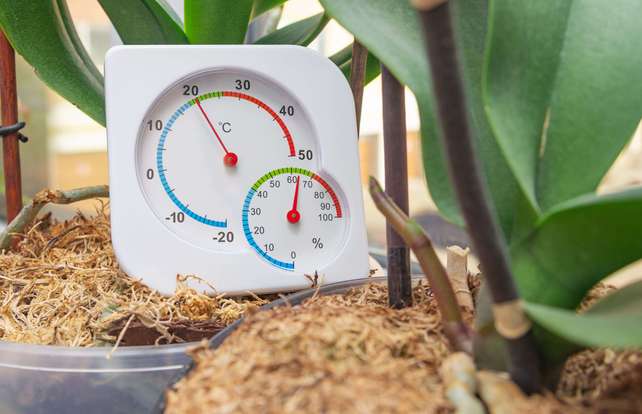 Die richtige Auswahl  Ihres Gartenthermometers