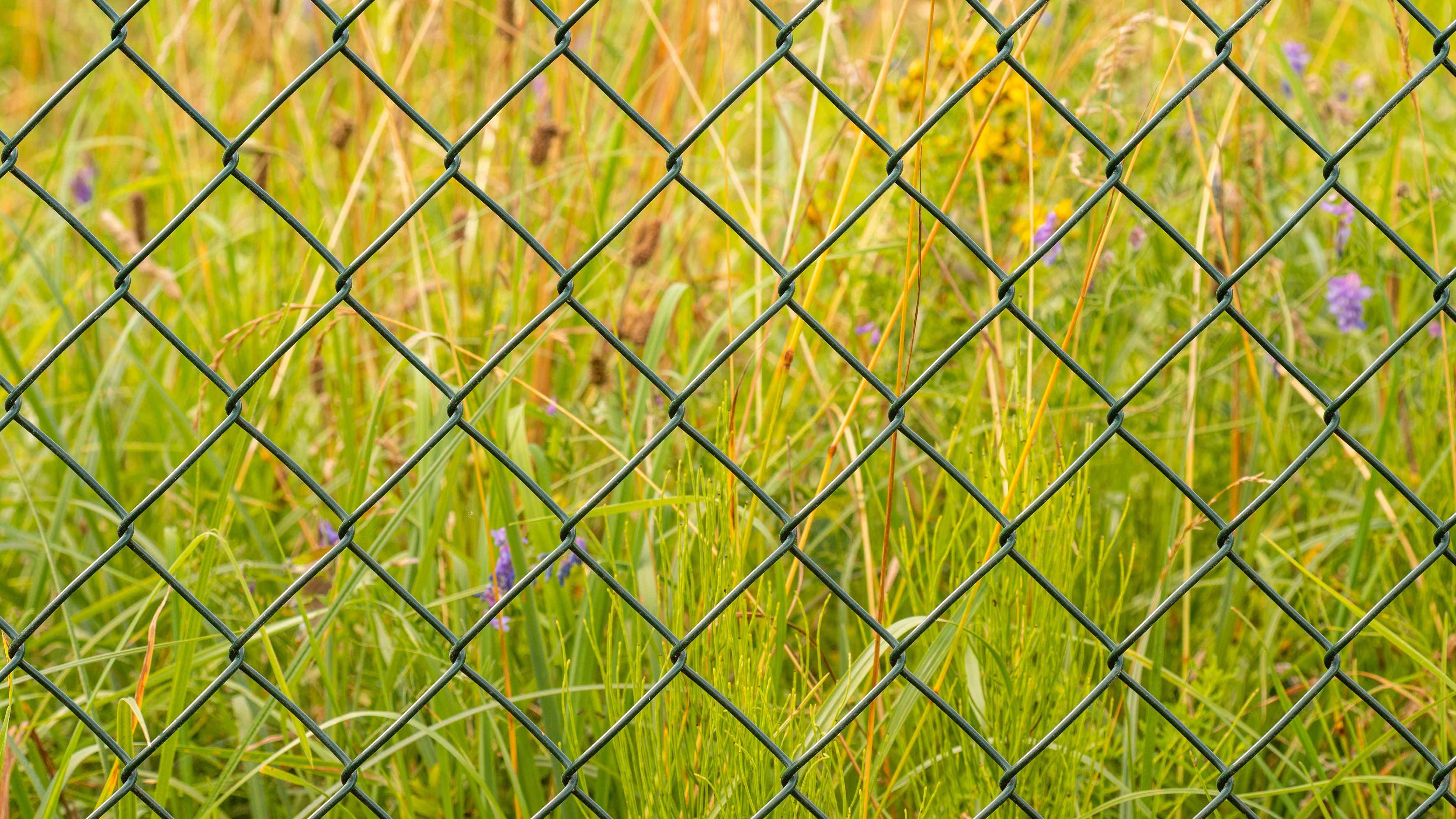 Choisir un grillage ou une clôture