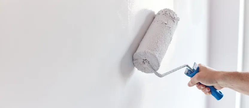 Come scegliere un rullo per pittura