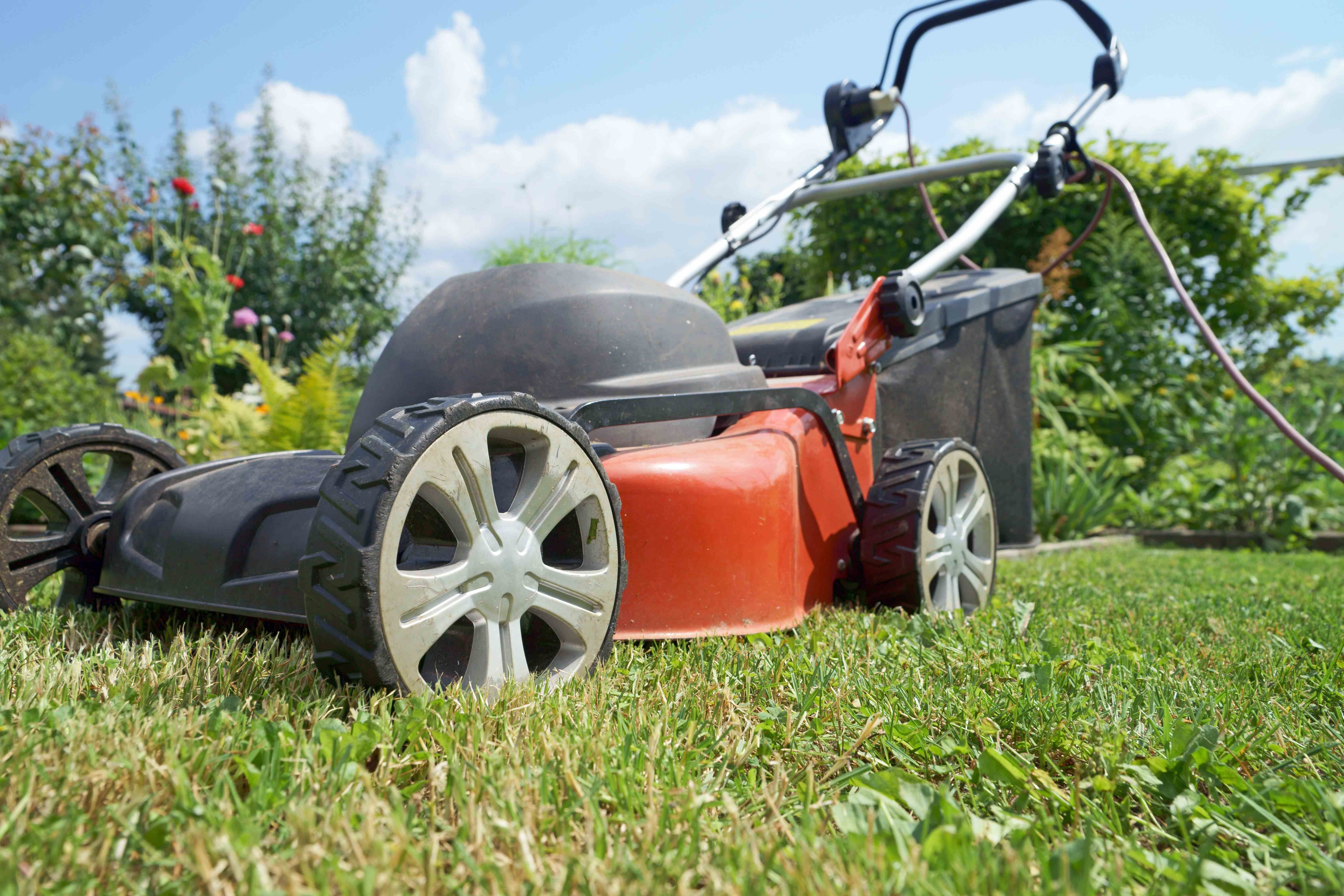 Electric lawnmower buying guide