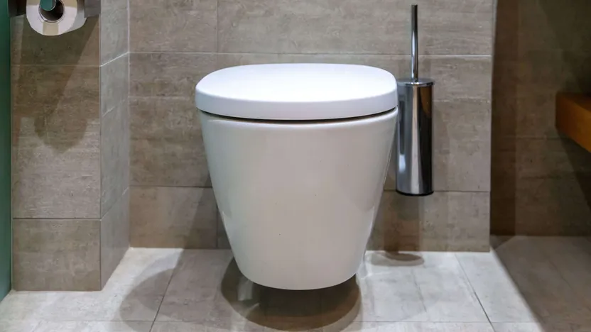 Comment choisir ses WC suspendus