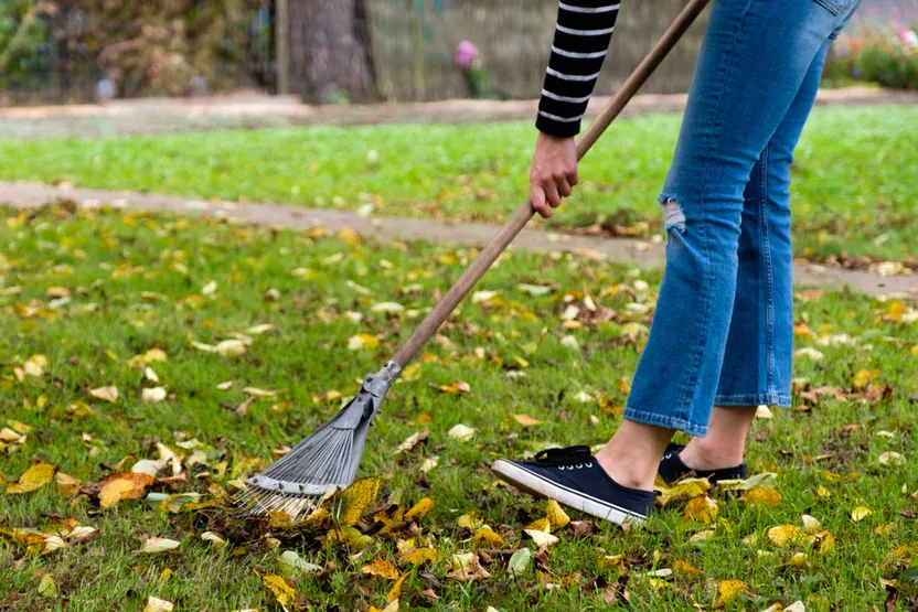 ¿Cómo cuidar el césped en otoño?