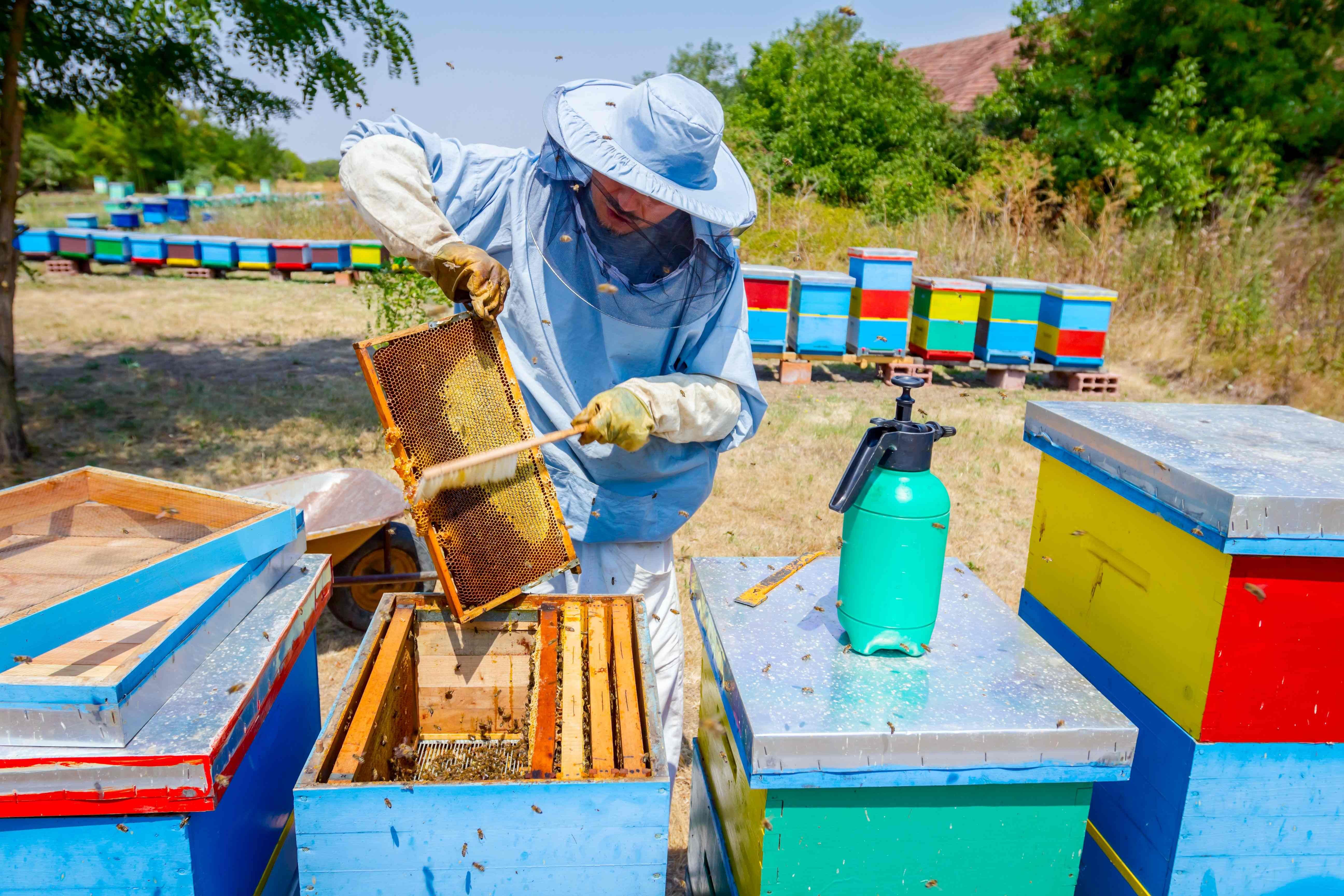 Matériel apiculture - La récolte du miel est enfin arrivée, nous