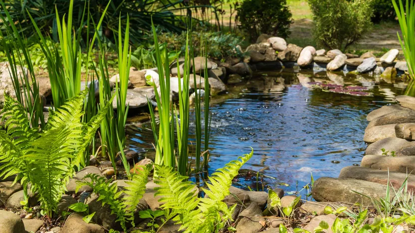 ¿Cómo elegir un estanque para el jardín?