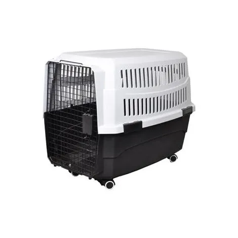 IATA-approved pet carrier buying guide