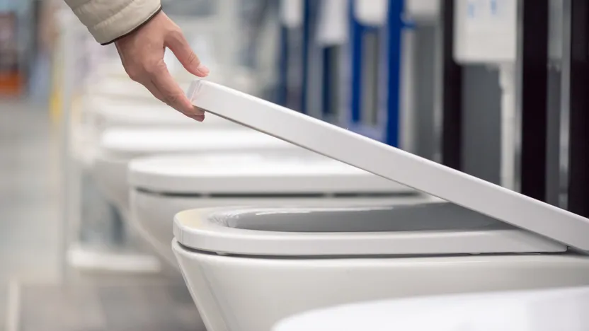 Toilet buying guide