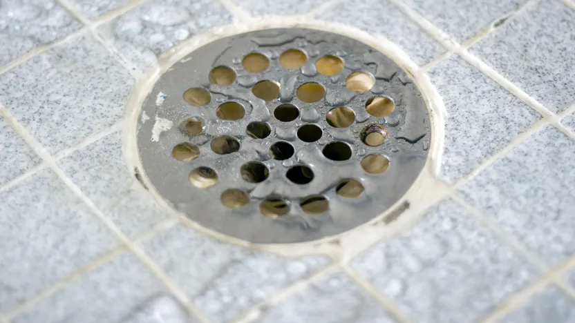Comment choisir un vidage de douche
