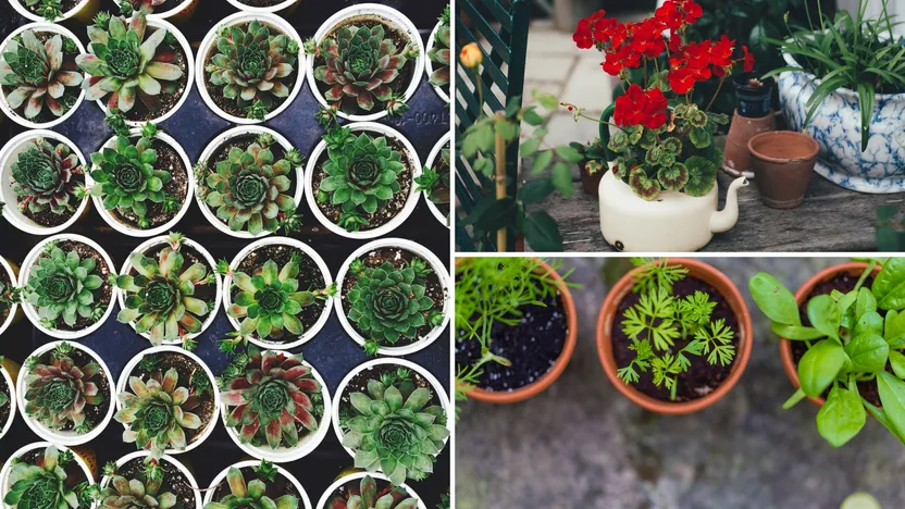 Decking Ideas For Small Gardens