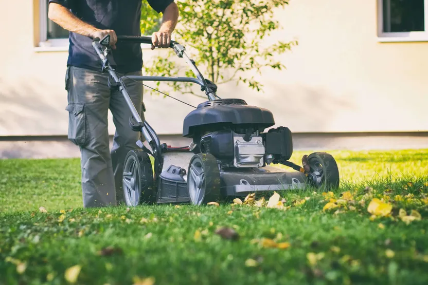 Petrol lawnmower buying guide