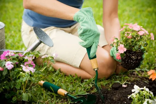 Come progettare un giardino di 50, 100 o 200 metri quadri