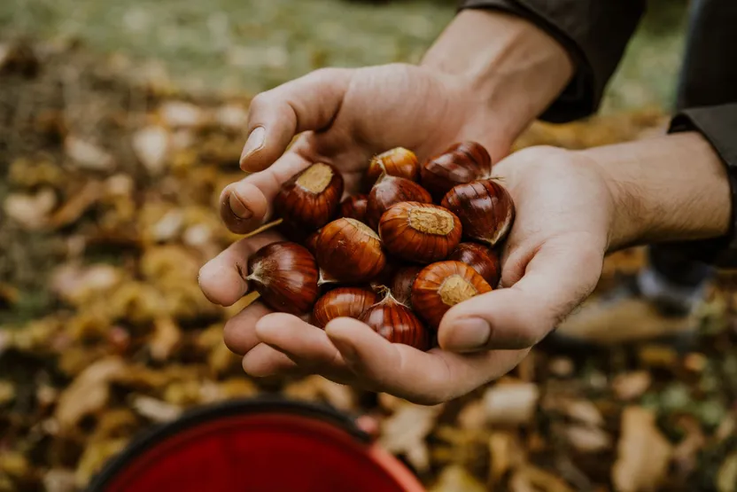 Ottobre: cosa fare in casa e in giardino