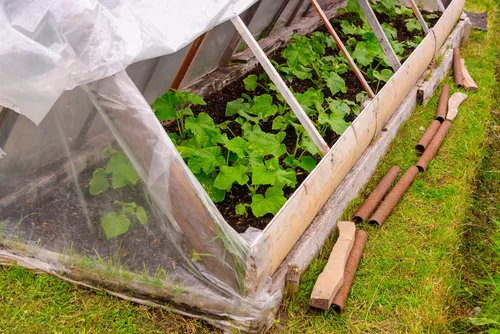Ein Frühbeet selber bauen: So geht’s