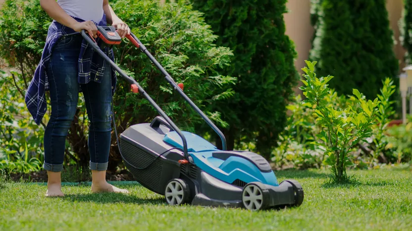 Petrol-powered scarifier buying guide