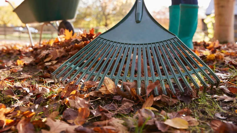 La manutenzione del giardino in autunno