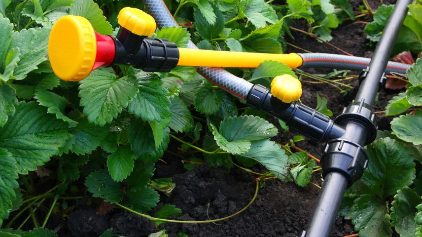 Come scegliere l'irrigazione interrata