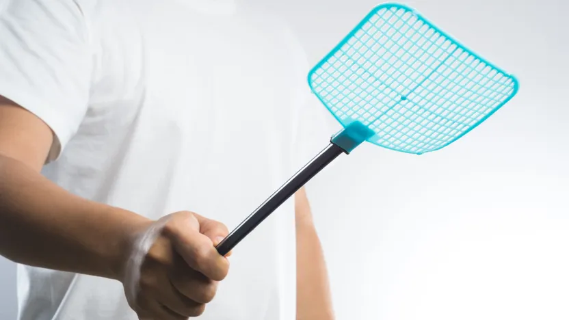 ¿Cómo eliminar las moscas en el hogar?
