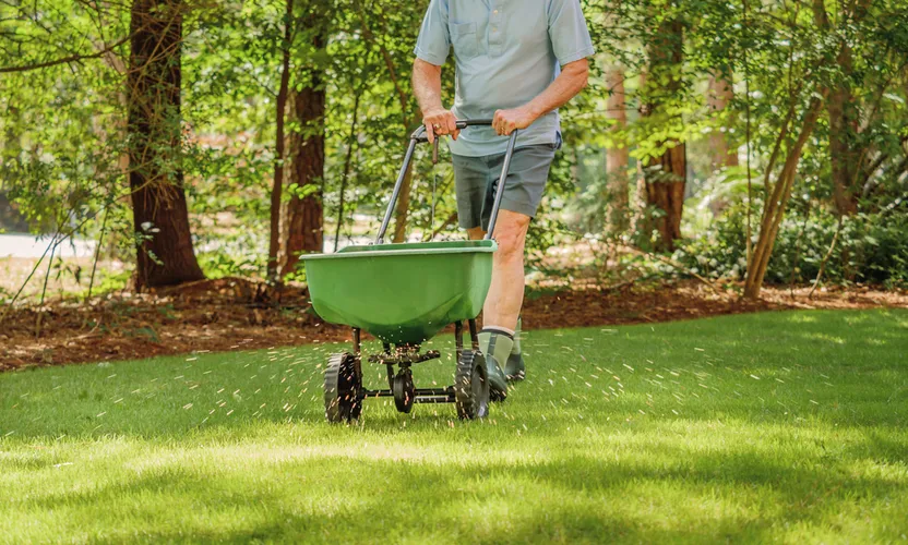 ¿Cómo cuidar el césped en primavera?